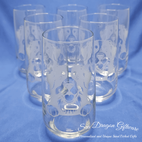 Bernese Mountain Dog