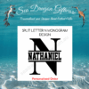 Split Letter N Monogram Design